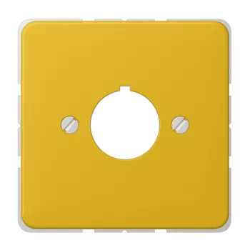 Крышка для установки специальных гнезд Ø 22,5 мм; желтая 564GE Jung